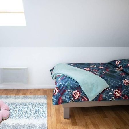 Duplex Tout Equipe, Proche Centre-Ville Colmar, Parking Bagian luar foto