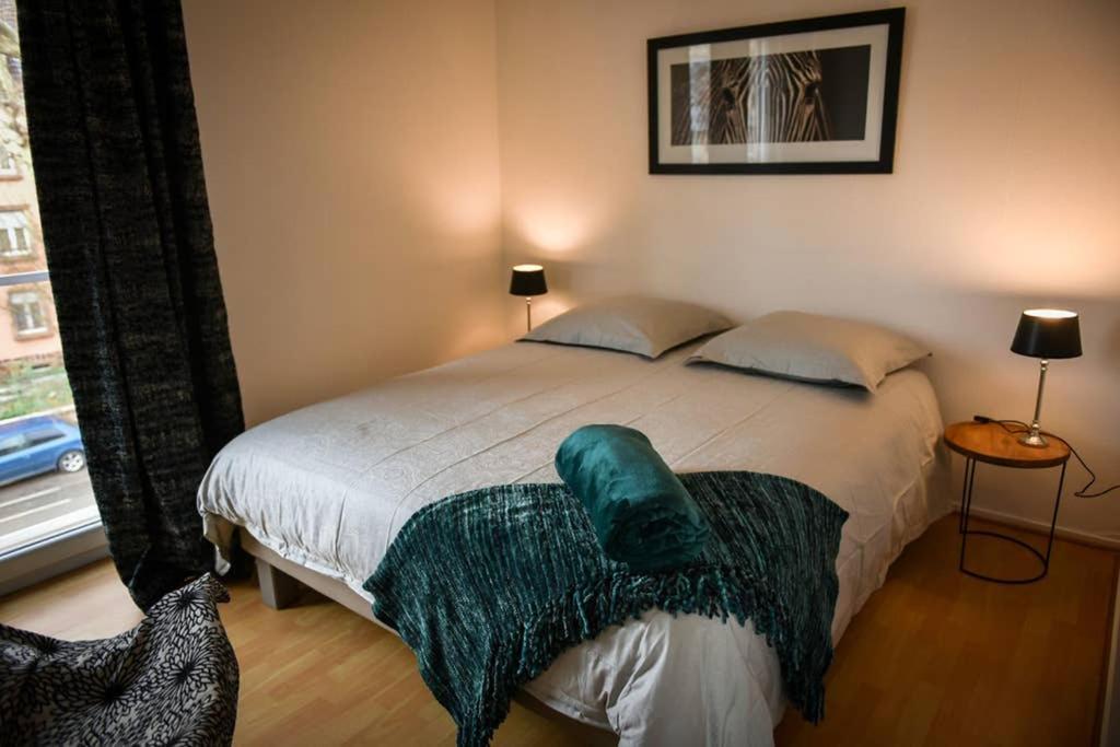 Duplex Tout Equipe, Proche Centre-Ville Colmar, Parking Bagian luar foto